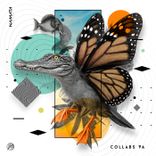Artwork for "Collabs"