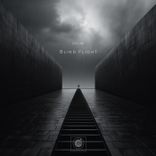 Artwork for "Blind Flight"