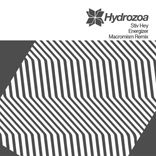 Artwork voor "Energizer"