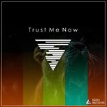 Artwork für "Trust Me Now"