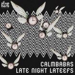 Bad Case of the Moogy Blues