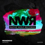 Artwork for "Haunted"