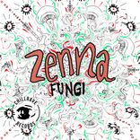 Artwork for "Funghi"