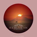 Artwork for "It Is Because You"