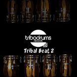 Artwork for "Tribal Beat 2"