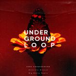 Artwork voor "Accurate Groove"