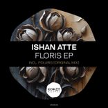 Artwork for "Floris"