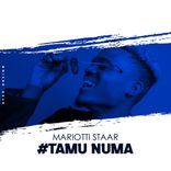 Artwork for "Tamu Numa"