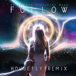 Artwork for "Follow (Housefly Remix)"