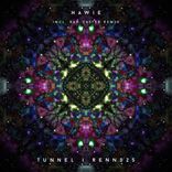 Portada para "Tunnel"