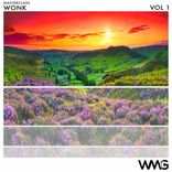 Artwork for "MasterClass: WoNK, Vol. 1"