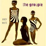 Artwork for "The Groupie"