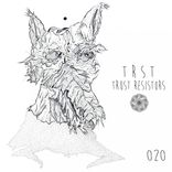 Artwork for "Trust Resistors EP"