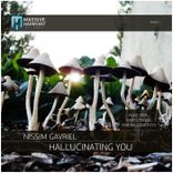Portada para "Hallucinating You"