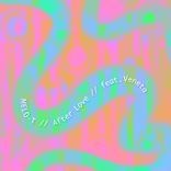 Artwork voor "After Love"