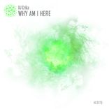 Artwork voor "Why Am I Here"