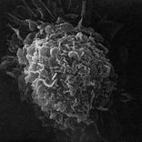 A Path To The Unknown