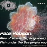 Portada para "Rise of A New Day / Fish Under The Sea"