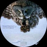 Artwork for "Transcendence"