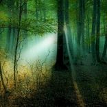 Artwork for "Jak Is Bak - EP1 - Secret Garden"