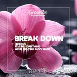Artwork voor "Break Down"