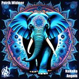 Portada para "Nanana"