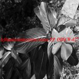 Artwork for "Evance EP"