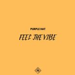 Artwork for "Feel the Vibe"