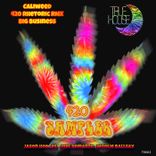 Portada para "420 Sampler"