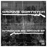 Artwork for "Introduce My Groove"