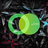 Artwork for "Dark as a White"