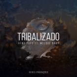 Artwork voor "Tribalizado"