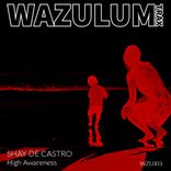 Artwork voor "High Awareness"