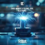 Artwork for "Electronic"