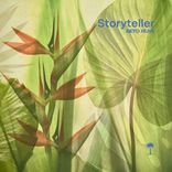 Artwork for "Storyteller"