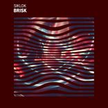 Portada para "Brisk"