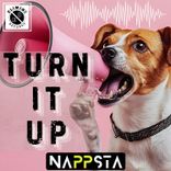 Artwork für "Turn It Up"