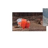 Abelsonite Flowers Growing on Mccrillisite