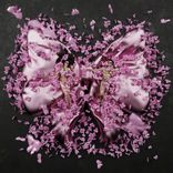 Artwork voor "COQUETTE"