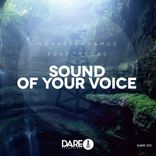 Artwork for "Sound Of Your Voice"
