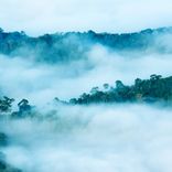 Artwork for "Gushy Maximum"