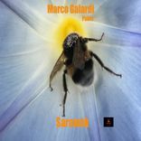 Artwork for "Sarawak"