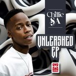 Artwork for "Unleashed"