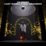 Artwork for "I Just Wanna Know (Vraiment)"