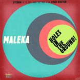 Portada para "Holes In The Ground!"