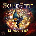 Artwork for "12 Moons EP"