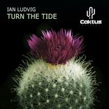 Artwork for "Turn The Tide"