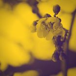 Close To The Breakdown