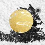 The Coming & Going Of Delight