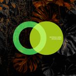 Artwork for "Spider Dance"